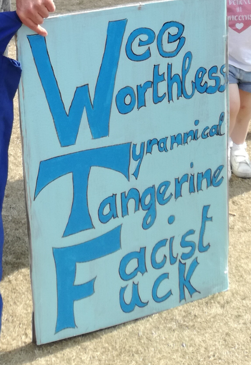Illustration for article titled Scottish anti-Trump photo dump (long and comprehensive!)